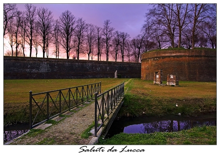 Saluti da Lucca di batz