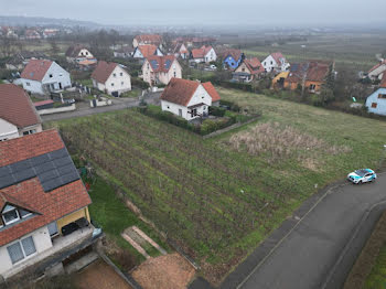 terrain à Obernai (67)