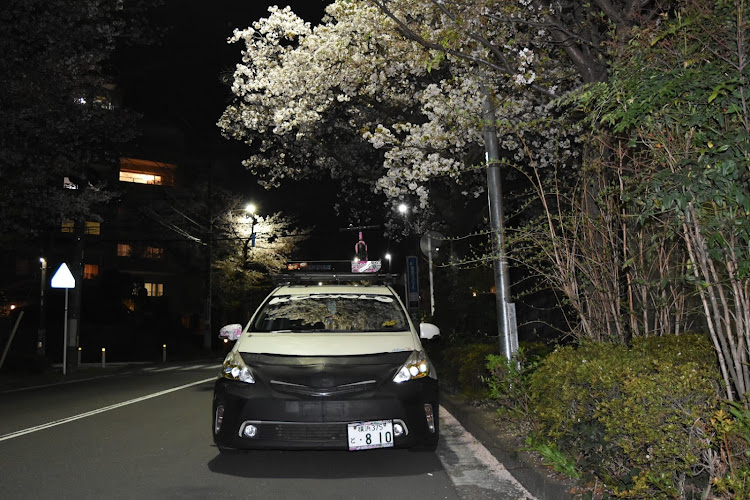 プリウスαの仮想USDM・サクラと愛車・目指せPickUpCarsに関するカスタム事例の投稿画像2枚目