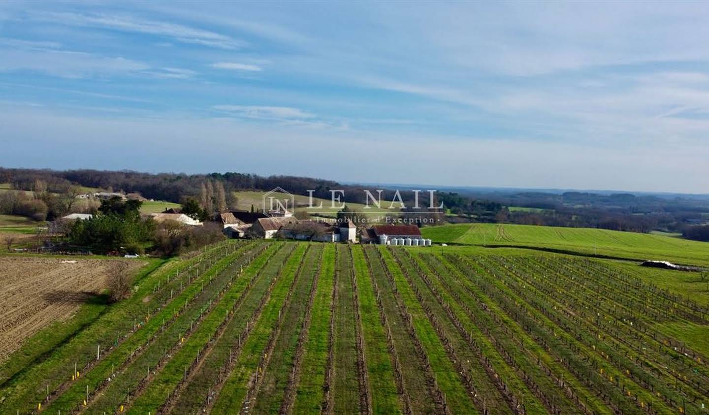 Vineyard Bergerac