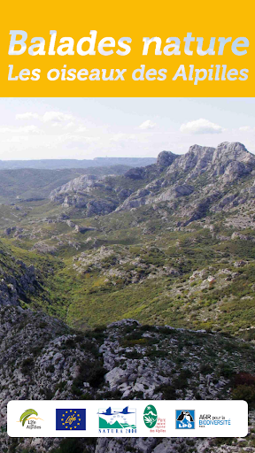 Les oiseaux des Alpilles