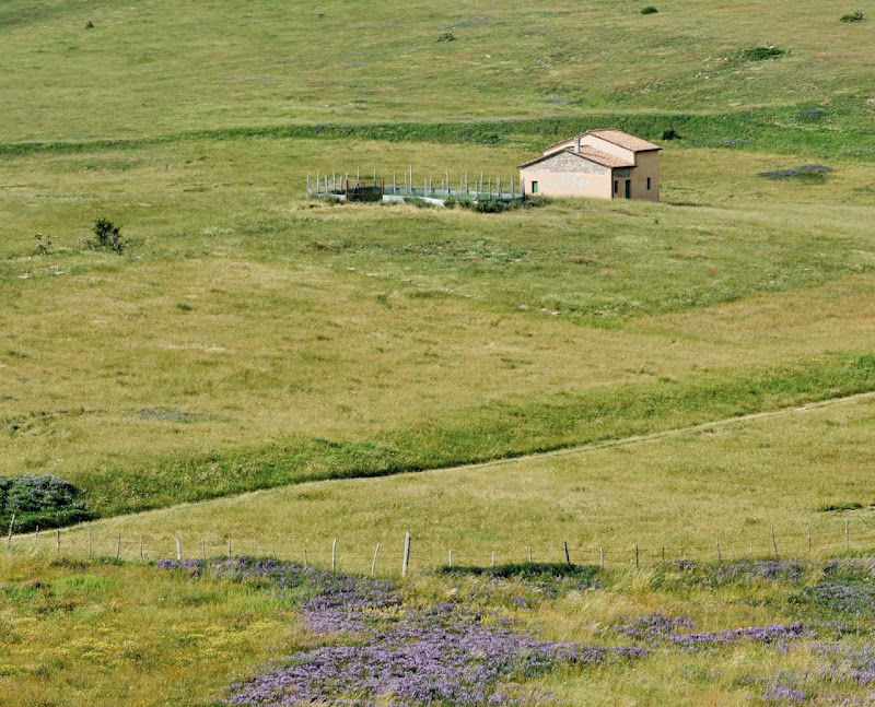 Fuori dal caos  di emidesa