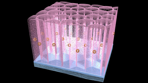 Columnar Epithelial Tissue 3D