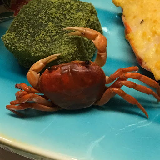 ホコサキのプロフィール画像
