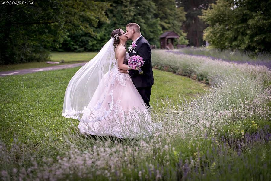 Photographe de mariage Málik István (malikistvan). Photo du 23 février 2019