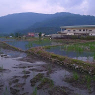 味珍香卜肉店