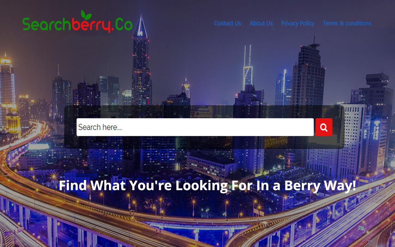Searchberry Home Page Preview image 2