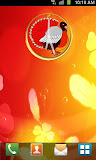 Turkey Clock