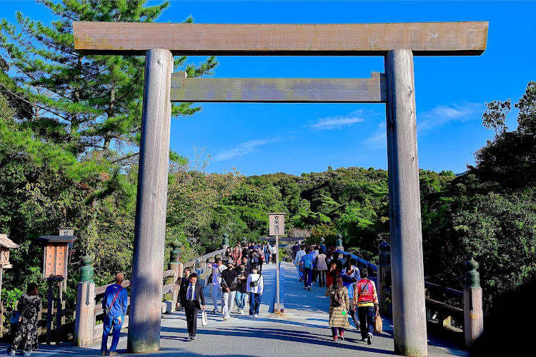 の投稿画像23枚目