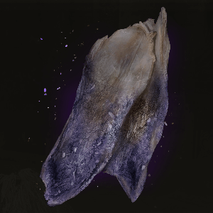 正気の干し白肉