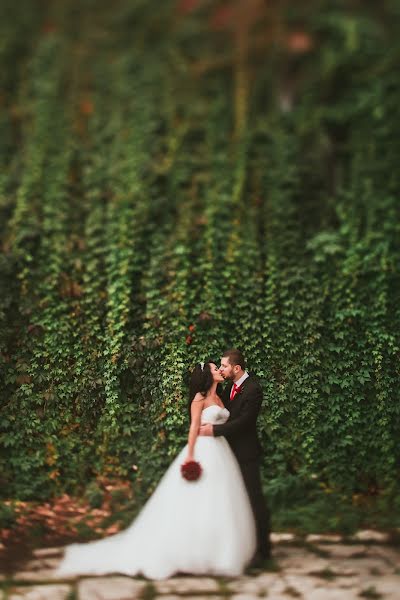 Fotografo di matrimoni Ksyusha Raush (kseniashu). Foto del 4 febbraio 2017