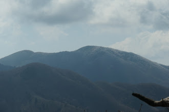 雨乞岳も霧氷