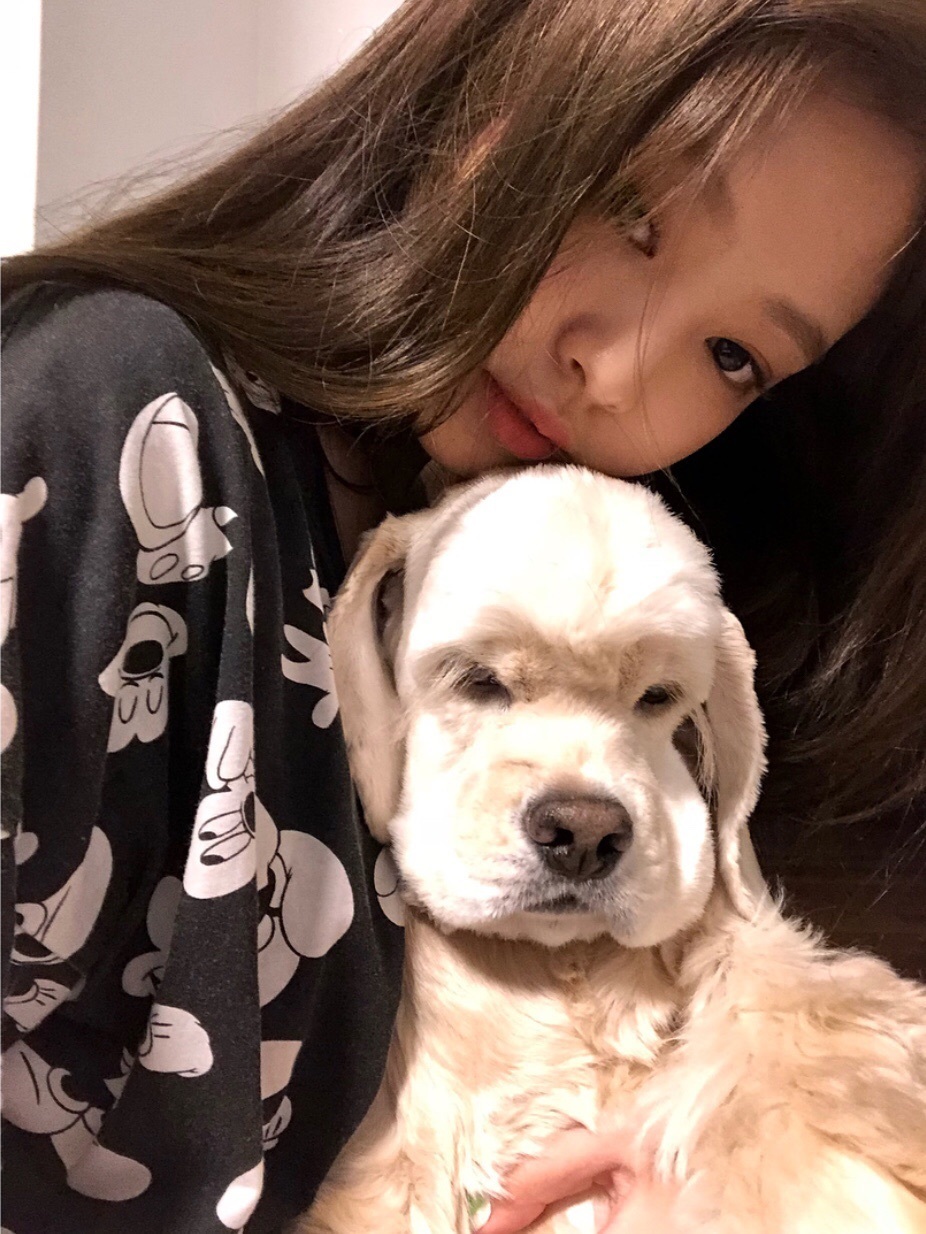 jenniedog