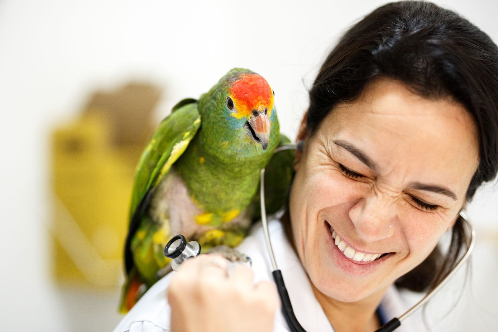 Veterinária sorrindo ao lado de ave 