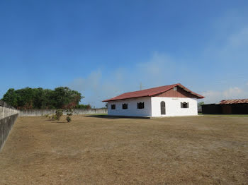 maison à Sinnamary (973)