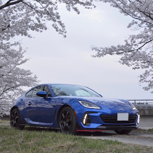 BRZ ZD8