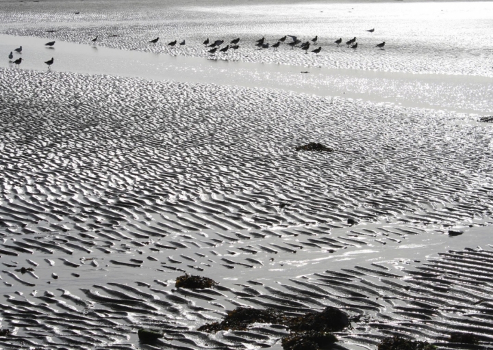 Sur l'eau di photographie