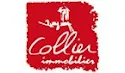 COLLIER IMMOBILIER Paray-le-Monial