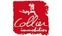 Collier Immobilier Paray-Le-Monial