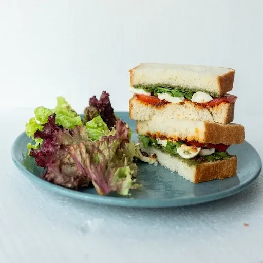Tomato Pesto And Bocconcini Soft Bread Sandwich