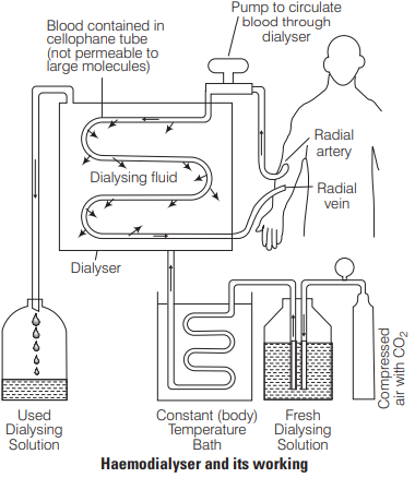 Solution Image