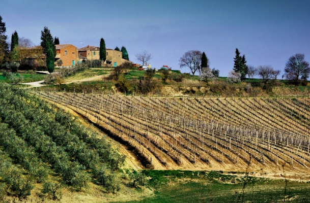 Casale toscano di manu70