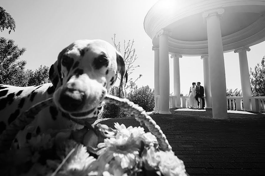 Fotografer pernikahan Denis Vyalov (vyalovdenis). Foto tanggal 29 April 2016