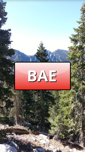 BAE Button