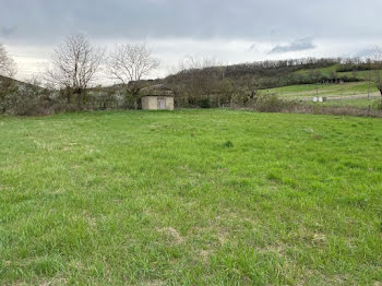 maison neuve à Viviers-lès-Montagnes (81)