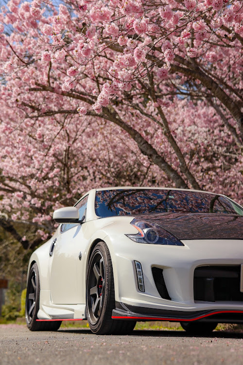 フェアレディZの4月もよろしくお願い致します🌸・桜とコラボ・サクラと愛車・ドライブ・桜に関するカスタム事例の投稿画像4枚目