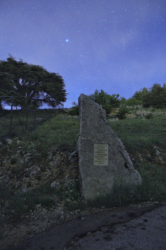 Cedars of Chouf