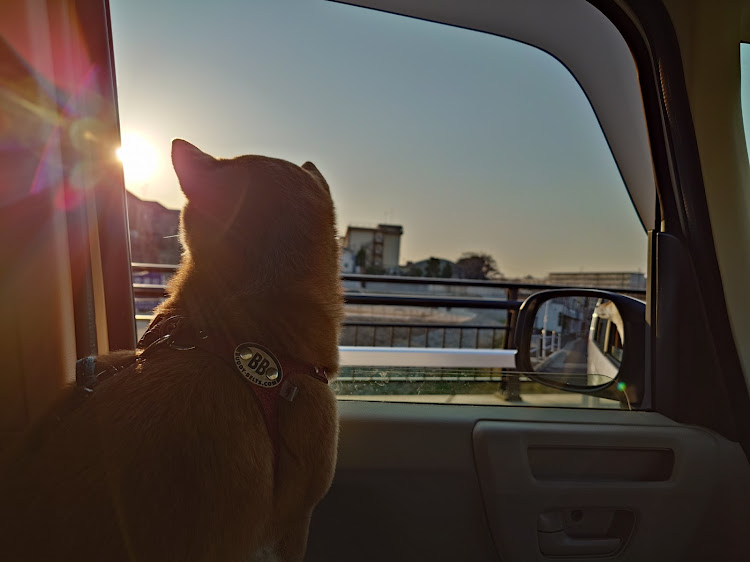 86のハブベアリング交換・86/BRZ・柴犬くうたに関するカスタム事例の投稿画像2枚目