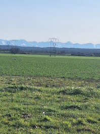 terrain à Roquettes (31)