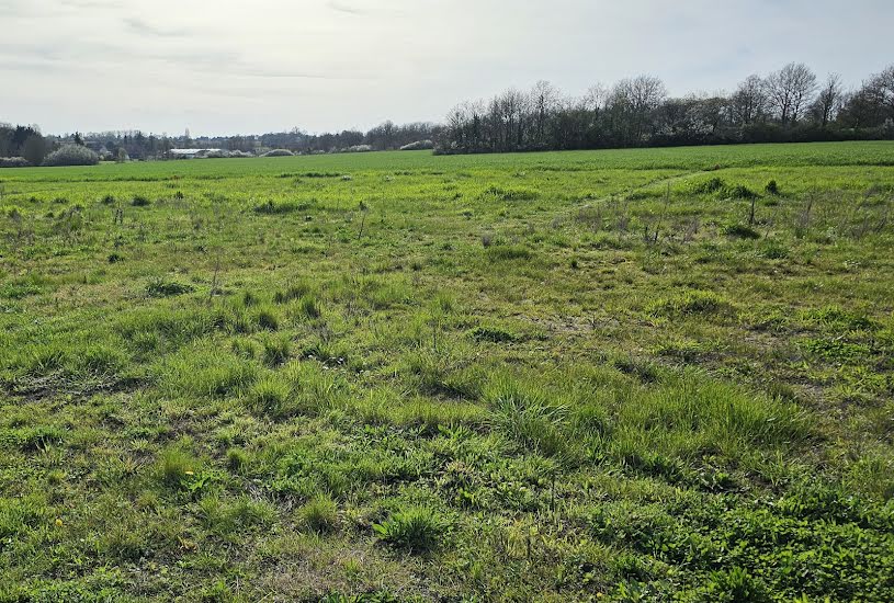  Vente Terrain + Maison - Terrain : 693m² - Maison : 150m² à Auzouer-en-Touraine (37110) 