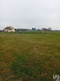 terrain à Saint-Benoît-sur-Loire (45)