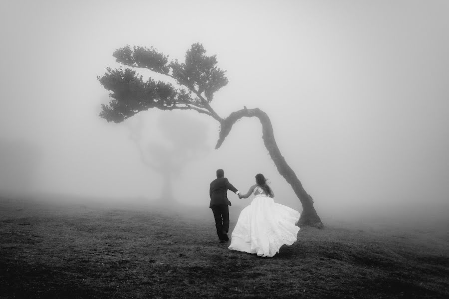 Fotógrafo de casamento Miguel Ponte (cmiguelponte). Foto de 3 de novembro 2021