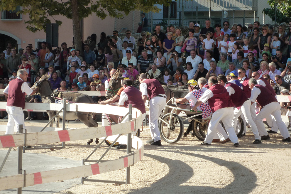 corsa dei muli di debh