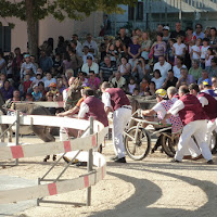 corsa dei muli di 