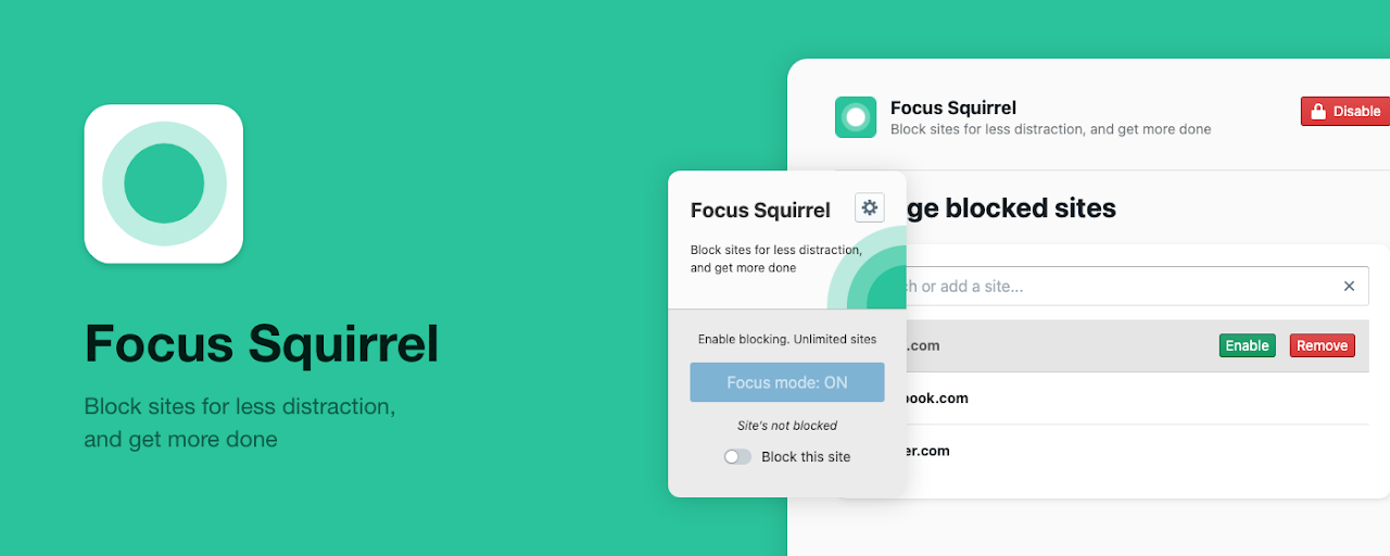 Focus Squirrel - Free Site Blocker Preview image 2