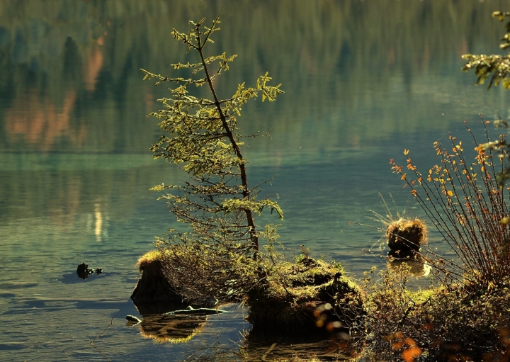 L'acqua è vita di artu