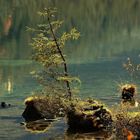 L'acqua è vita di 