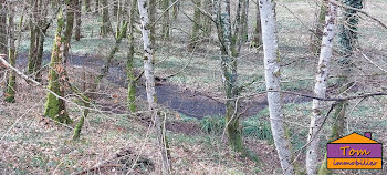 terrain à Courmont (70)