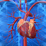 Cardiovascular System Apk