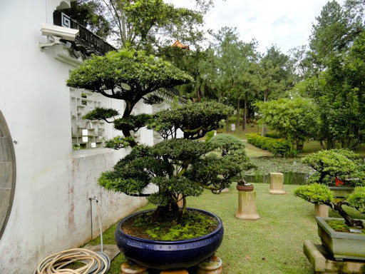 The Chinese Japanese Gardens Singapore2010