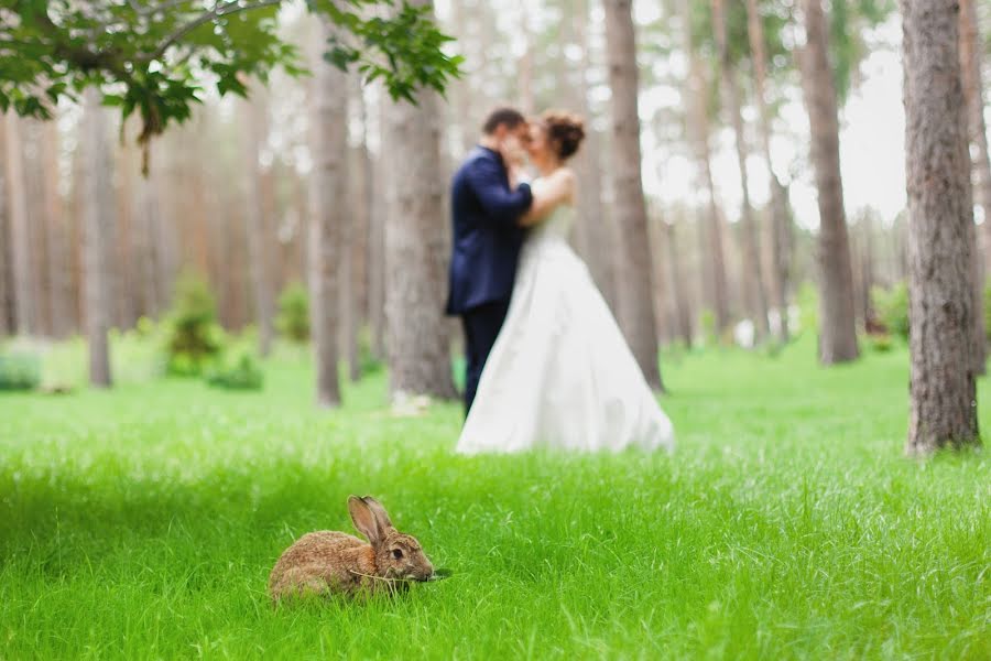 Wedding photographer Tolya Sarkan (sarkan). Photo of 3 October 2017