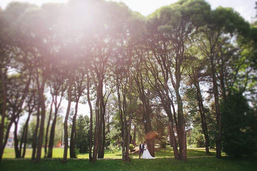 Photographe de mariage Mariya Evseeva (foxik-85). Photo du 20 juillet 2016