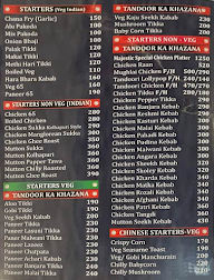 Chaitanya Restaurant And Bar menu 4