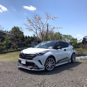 C-HR ZYX10