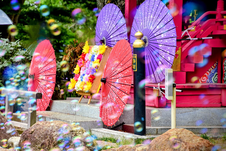 ノートeパワーの週末ドライブ・紫陽花鑑賞・雨引観音・お花がメイン・クルマネタじゃなくてすみませんに関するカスタム事例の投稿画像14枚目