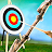 Archery Evolution Run icon